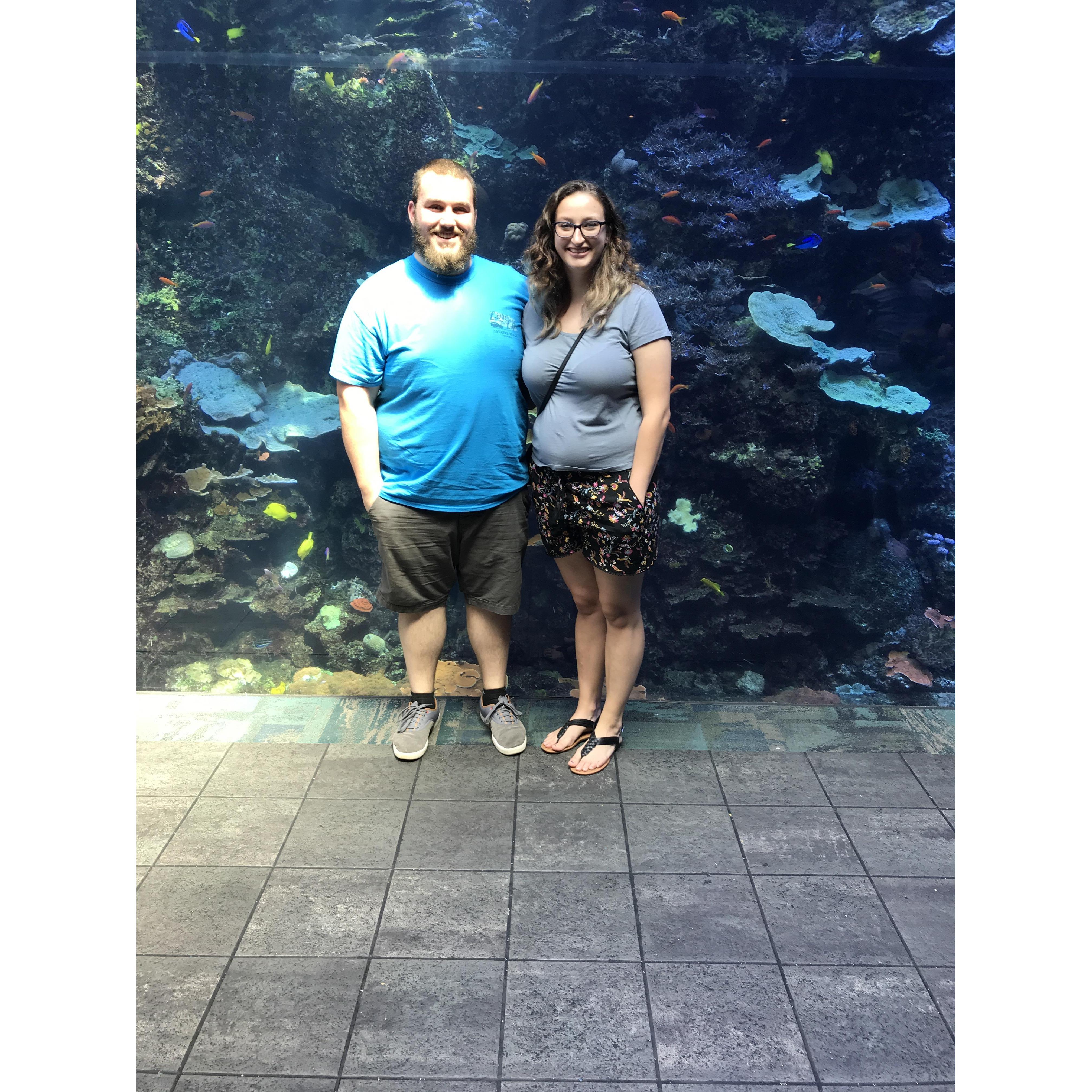 2018 | Our first of many trips to Alabama...although this is taken at the USA's largest aquarium in Georgia