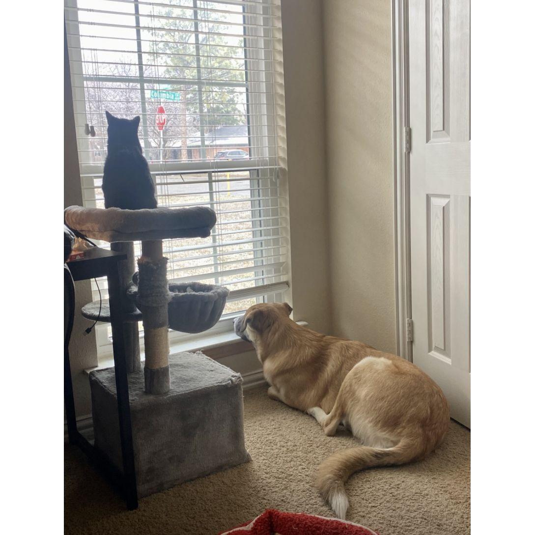 Which meant more days indoors bonding for Deeda and Bean!