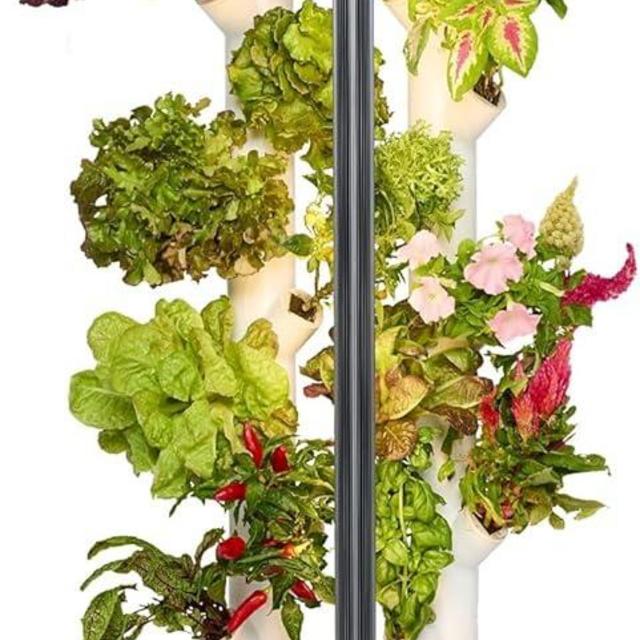 Gardyn Studio Hydroponics Growing System Kit & Vertical Indoor Garden Planter | Smart Herb Garden | Includes 16 Non-GMO Indoor Plants, Herbs, Vegetables & LED Grow Light for Your Home Gardening System