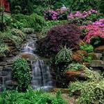 Cleveland Botanical Garden