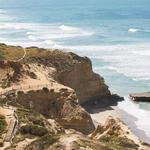 Torrey Pines State Reserve