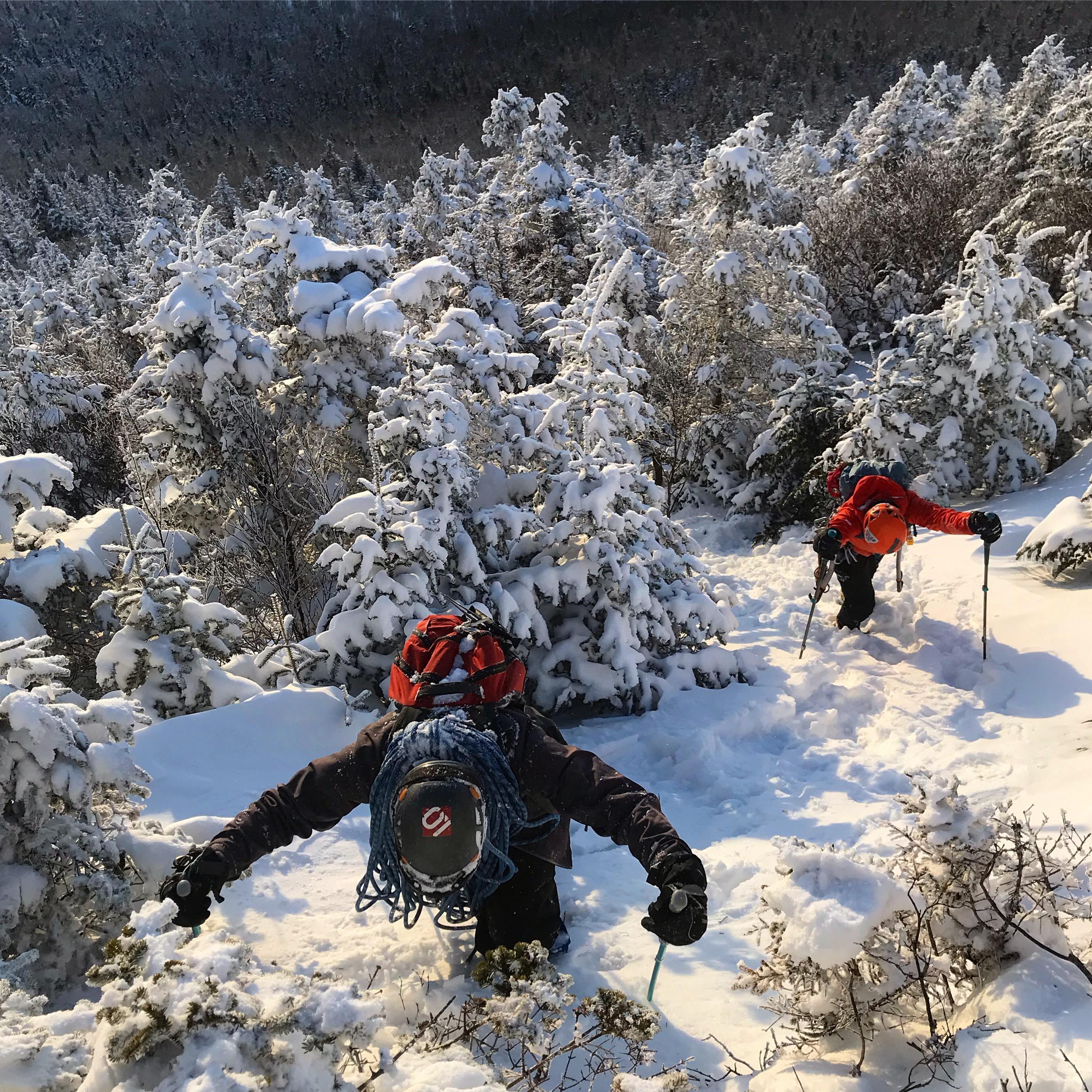 Winter wonderland on Cascade Mountain.