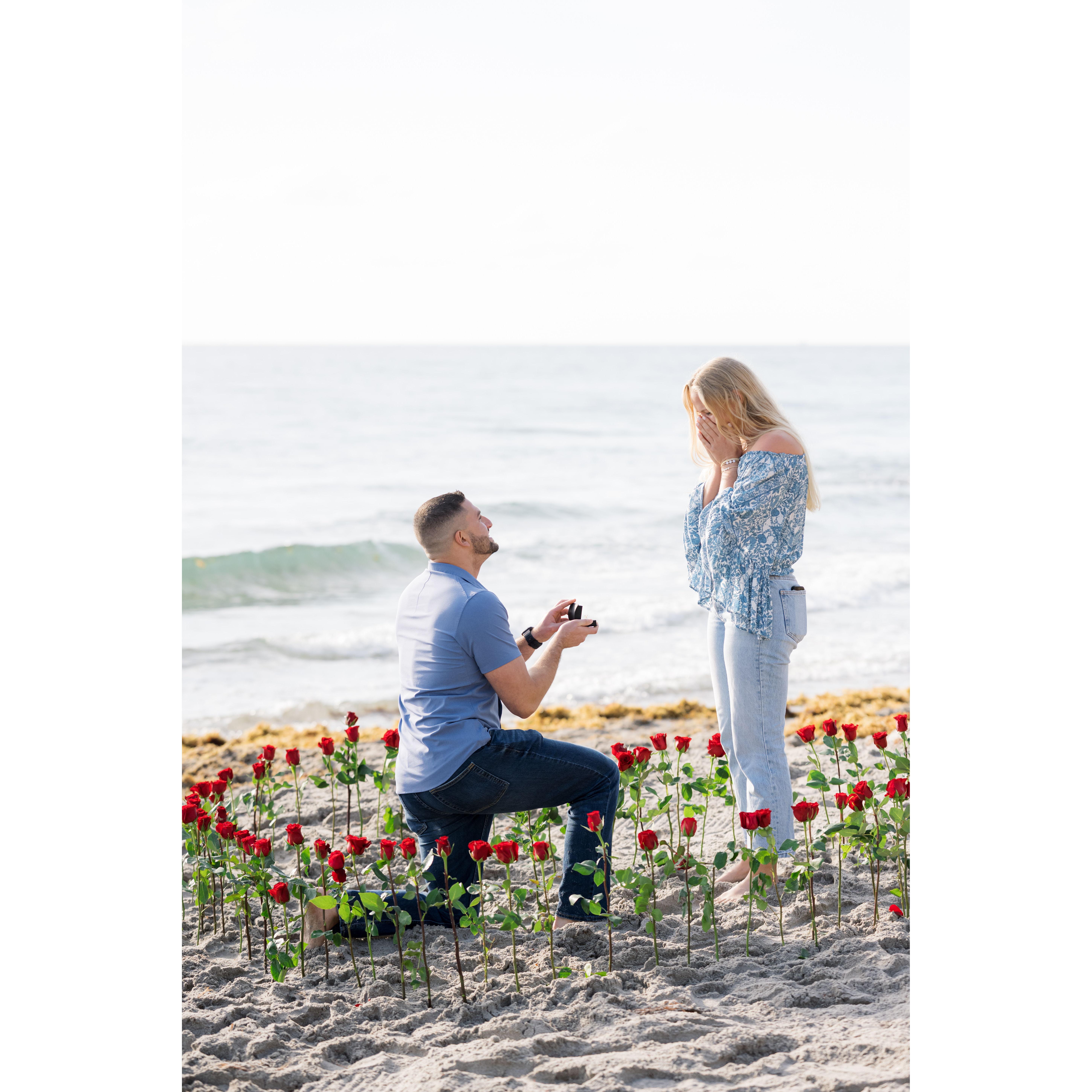He proposed