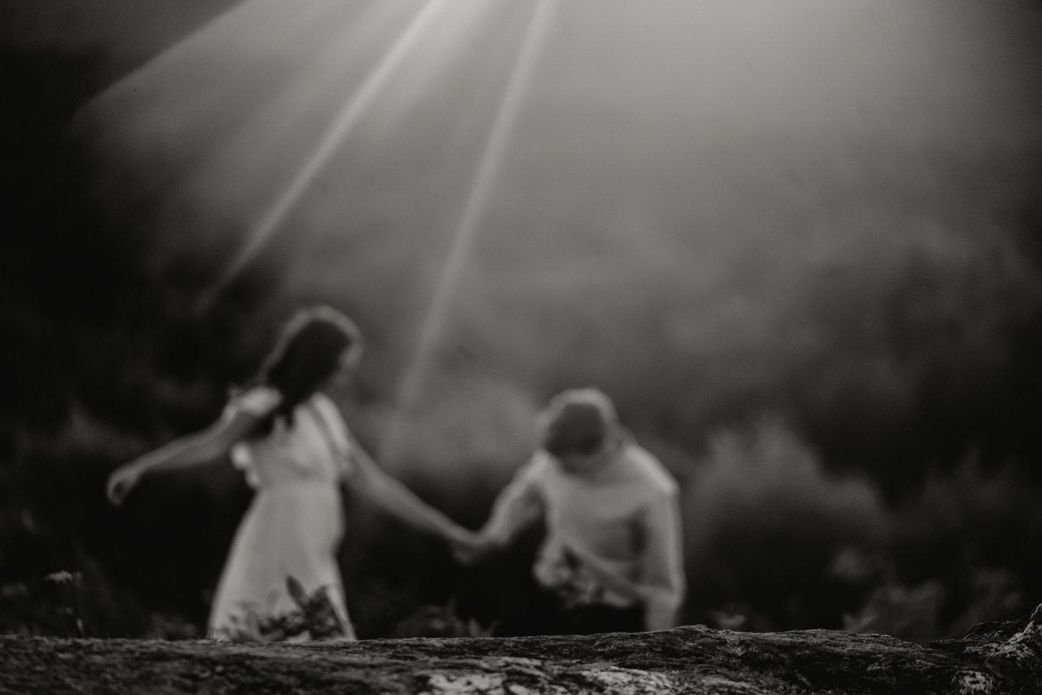 The Wedding Website of Alexandra Bopp and Ian Davies