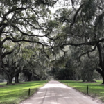 Boone Hall Plantation & Gardens