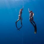 Apneista Freediving and Yoga School