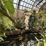 Lincoln Park Conservatory