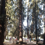 Riverfront Regional Park Driveway