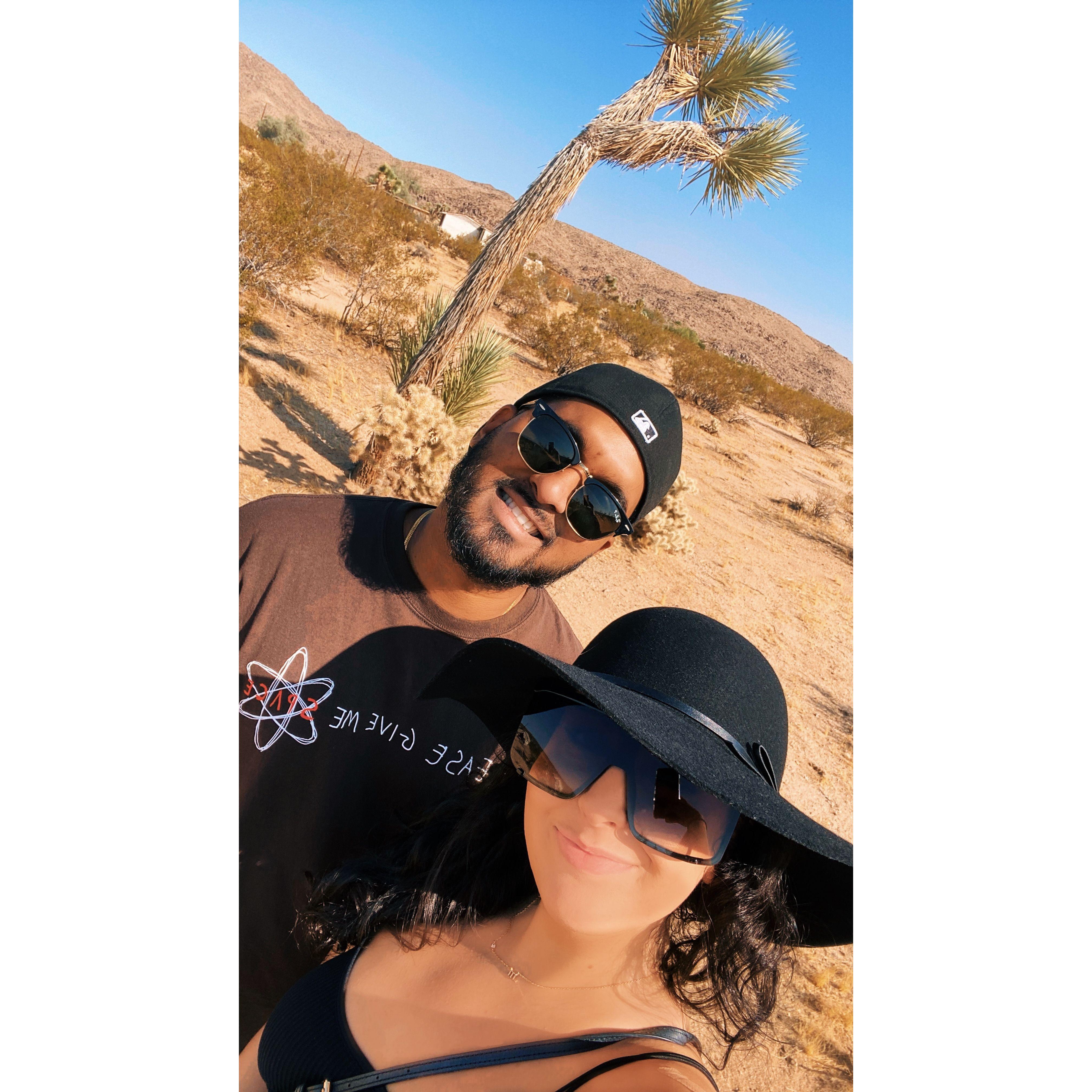 Joshua Tree