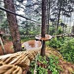 The Adventure Collective