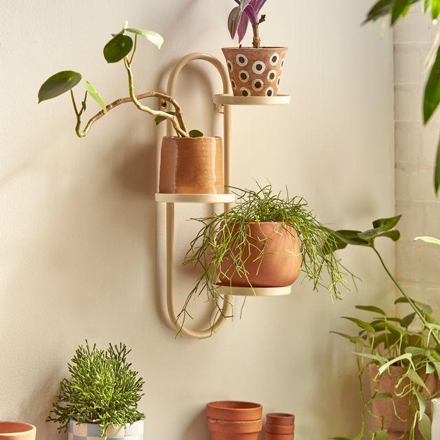 Wall Mounted Plant Stand