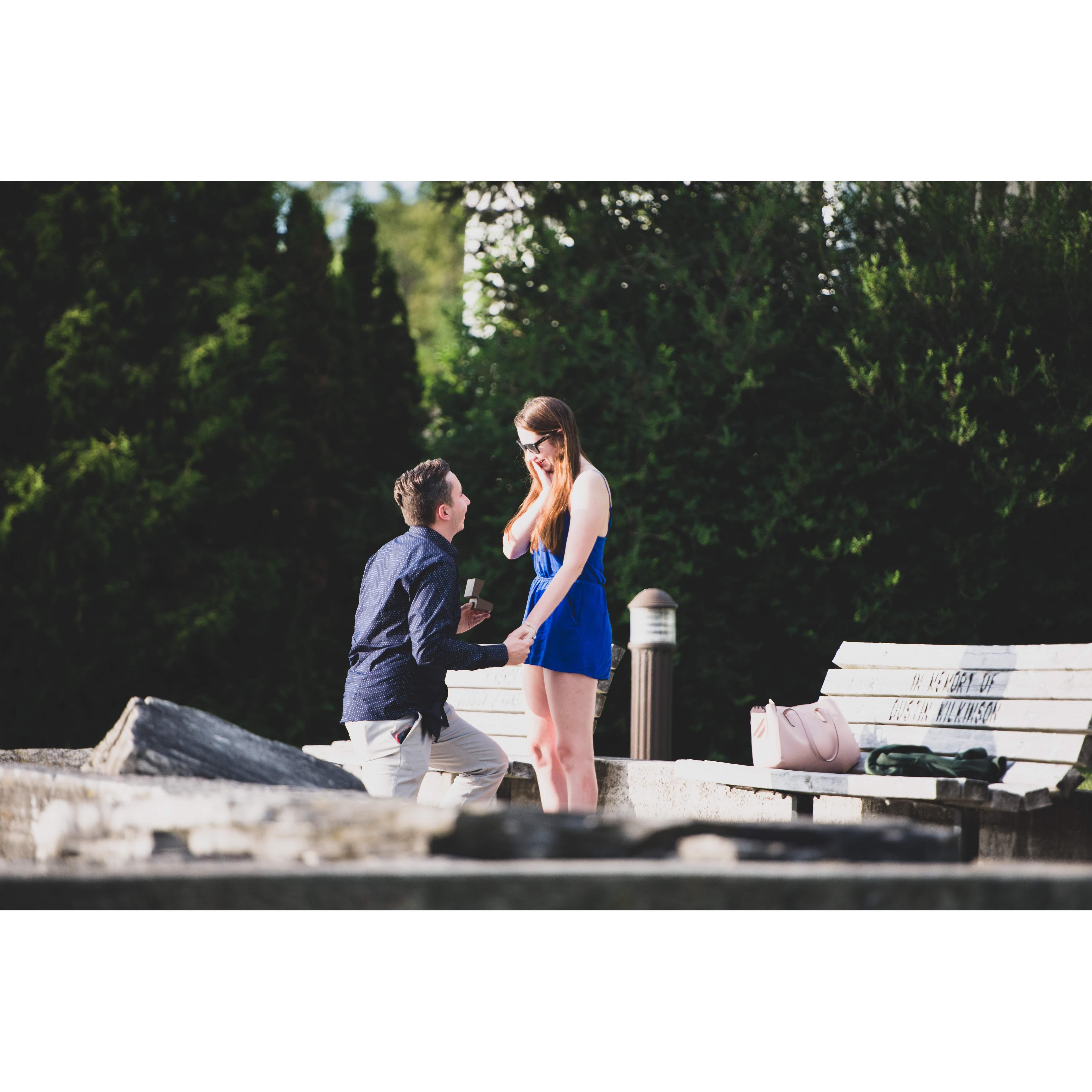 Door County Proposal
July 5th, 2019
