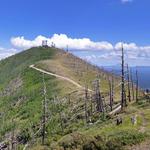 Elden Lookout Trail