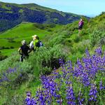 Sunol Regional Wilderness