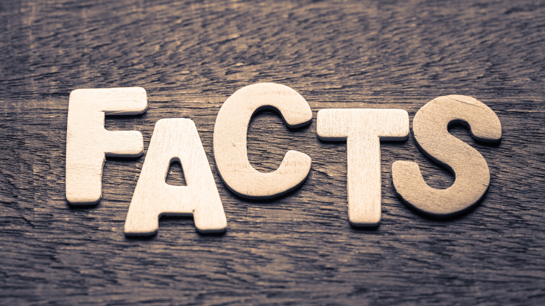 The Wedding Website of Matias C and Chelsi C