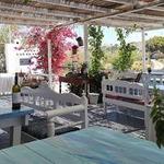 Mykonos Vioma Organic Farm