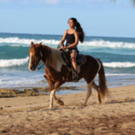 Tropical Trail Rides