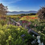 Trapp Family Lodge