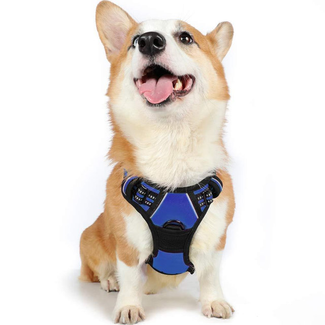 rabbitgoo Dog Harness, No-Pull Pet Harness with 2 Leash Clips, Adjustable Soft Padded Dog Vest, Reflective Outdoor Pet Oxford Vest with Easy Control Handle