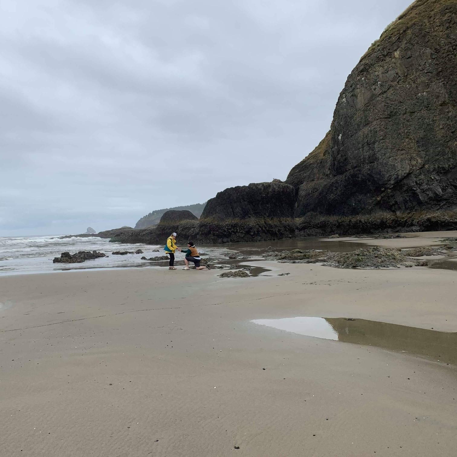 The proposal
Oceanside, OR 2019