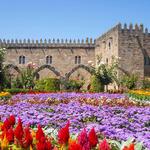 Braga