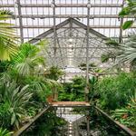 Garfield Park Conservatory