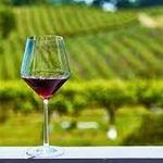 So Many Wineries!