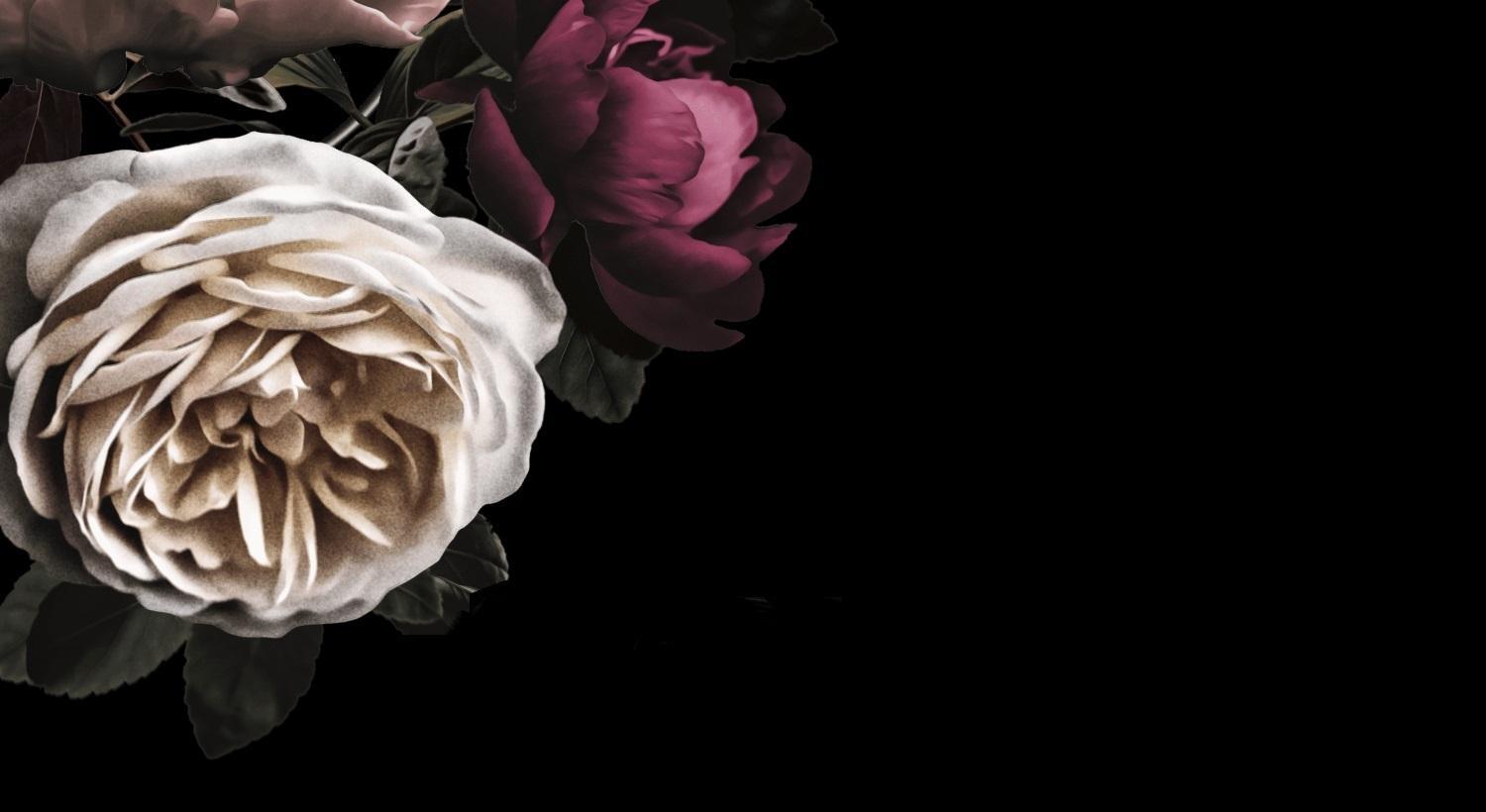Footer image