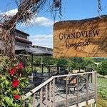 Grandview Vineyard
