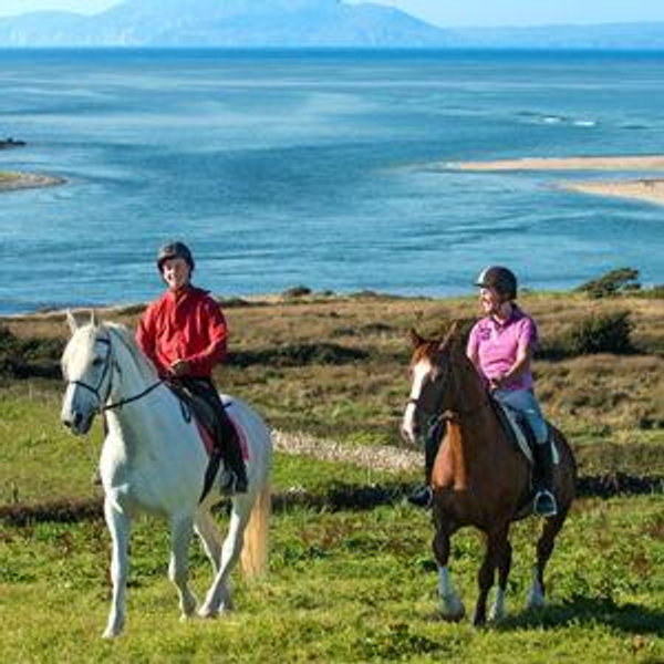 Horseback Riding