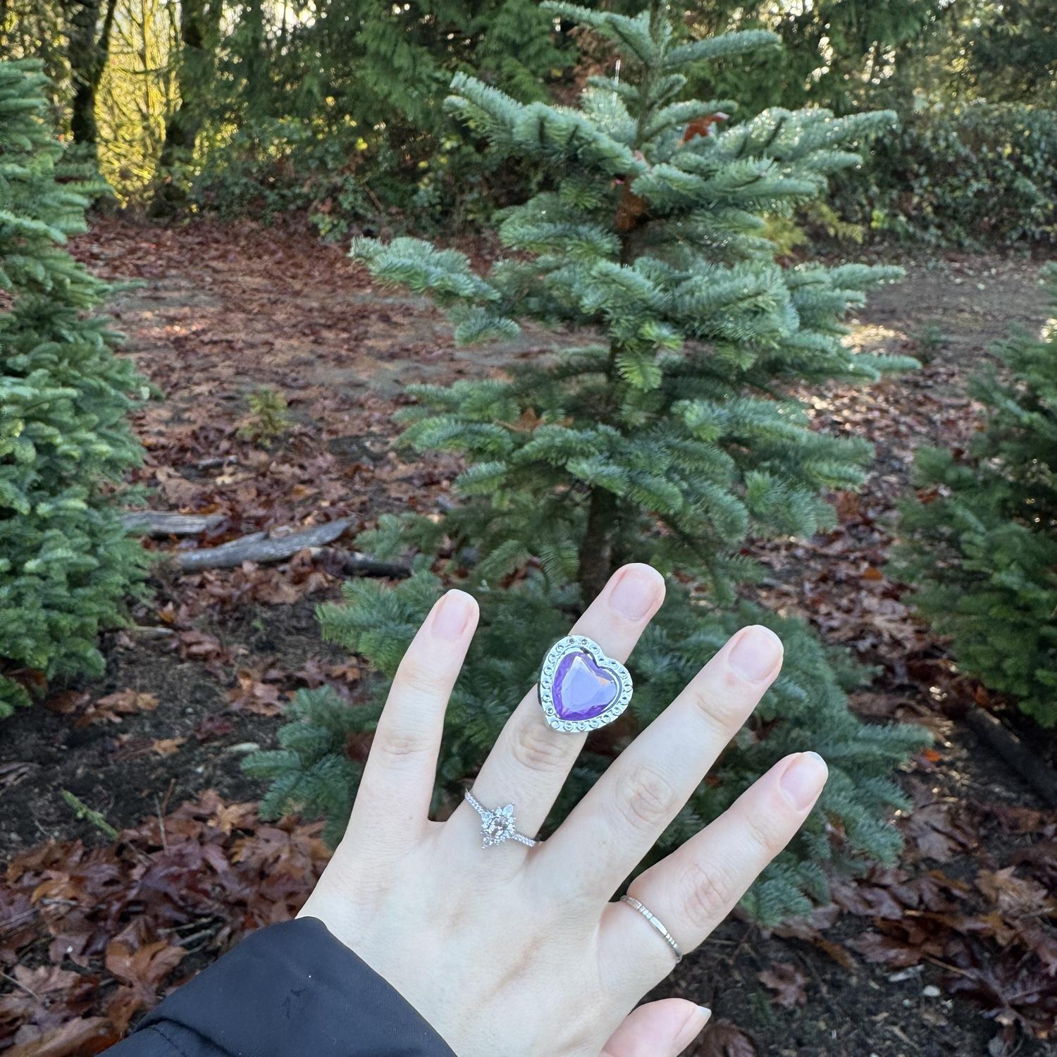 Look at my cool heart ring…. I mean.. my cool engagement ring! But for real though! I found the heart ring at the tree farm before Ty proposed