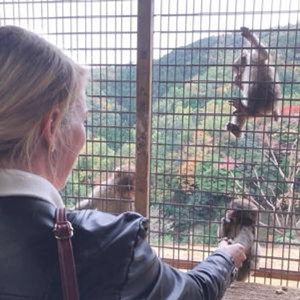 BALI: Monkey Hike