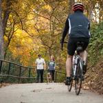 Swamp Rabbit Trail
