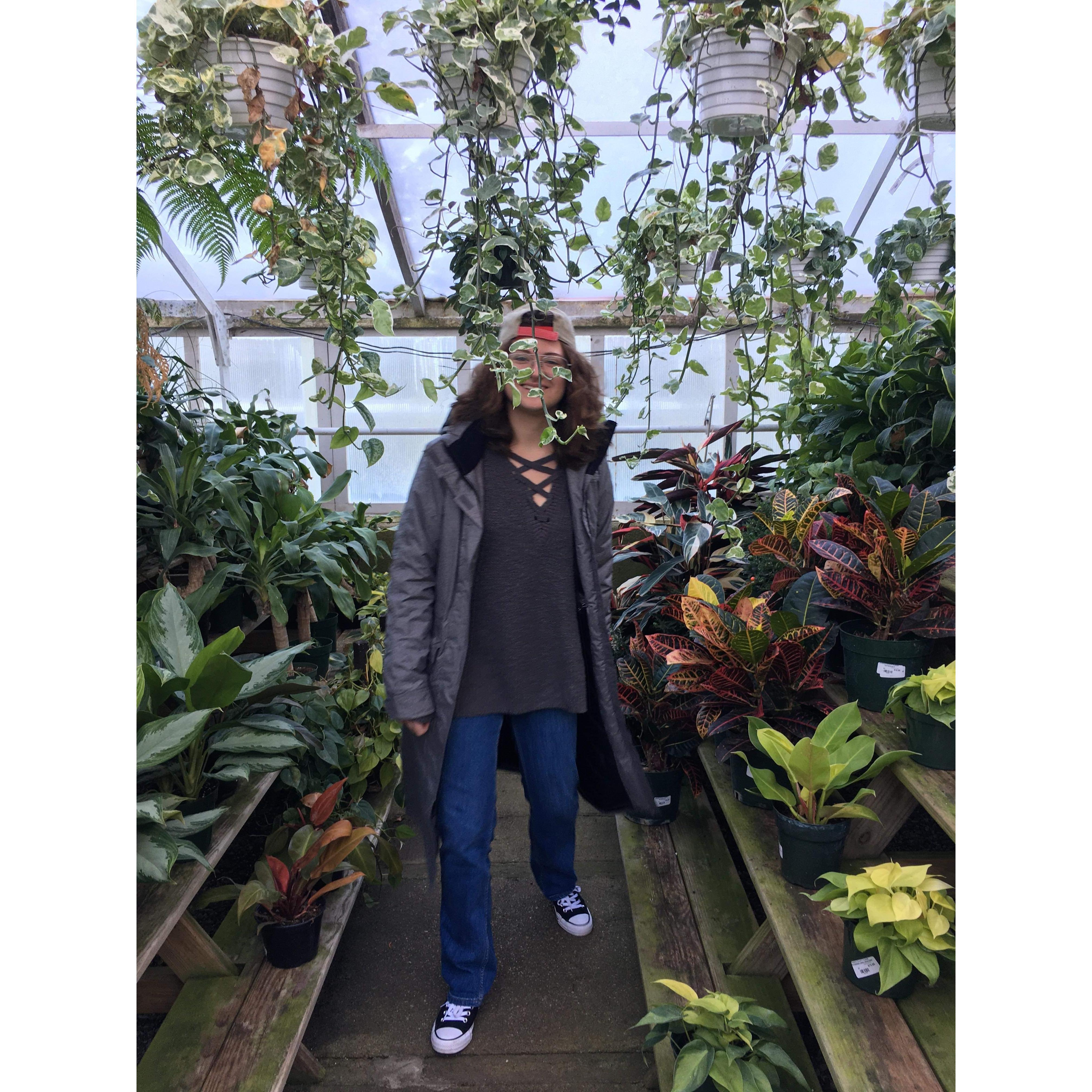 swamp thing