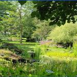 Berkshire Botanical Garden