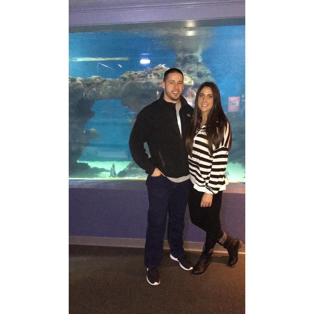 Aquarium in Cleveland, Ohio - awkwardly new at dating