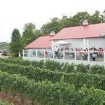 Brys Estate Vineyard & Winery
