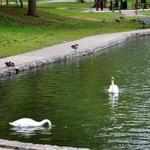Hagerstown City Park