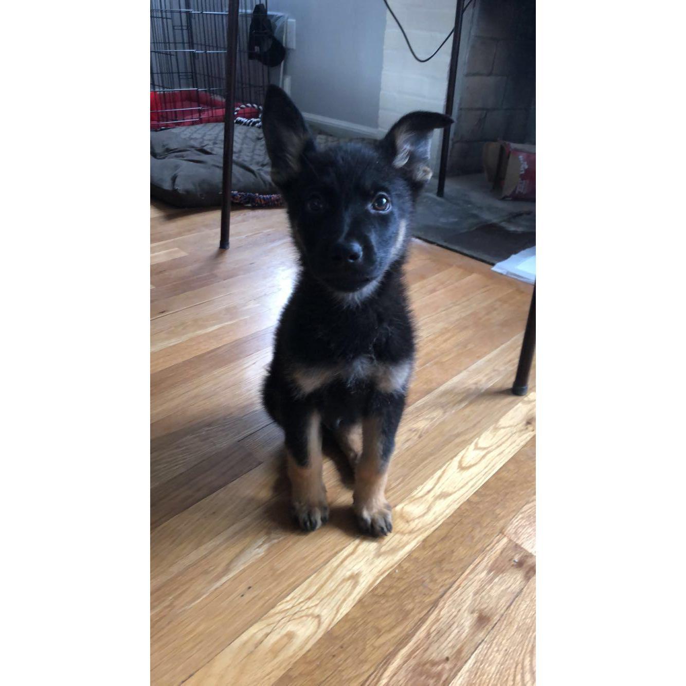 February 10, 2018 - Welcome to the family Jax!