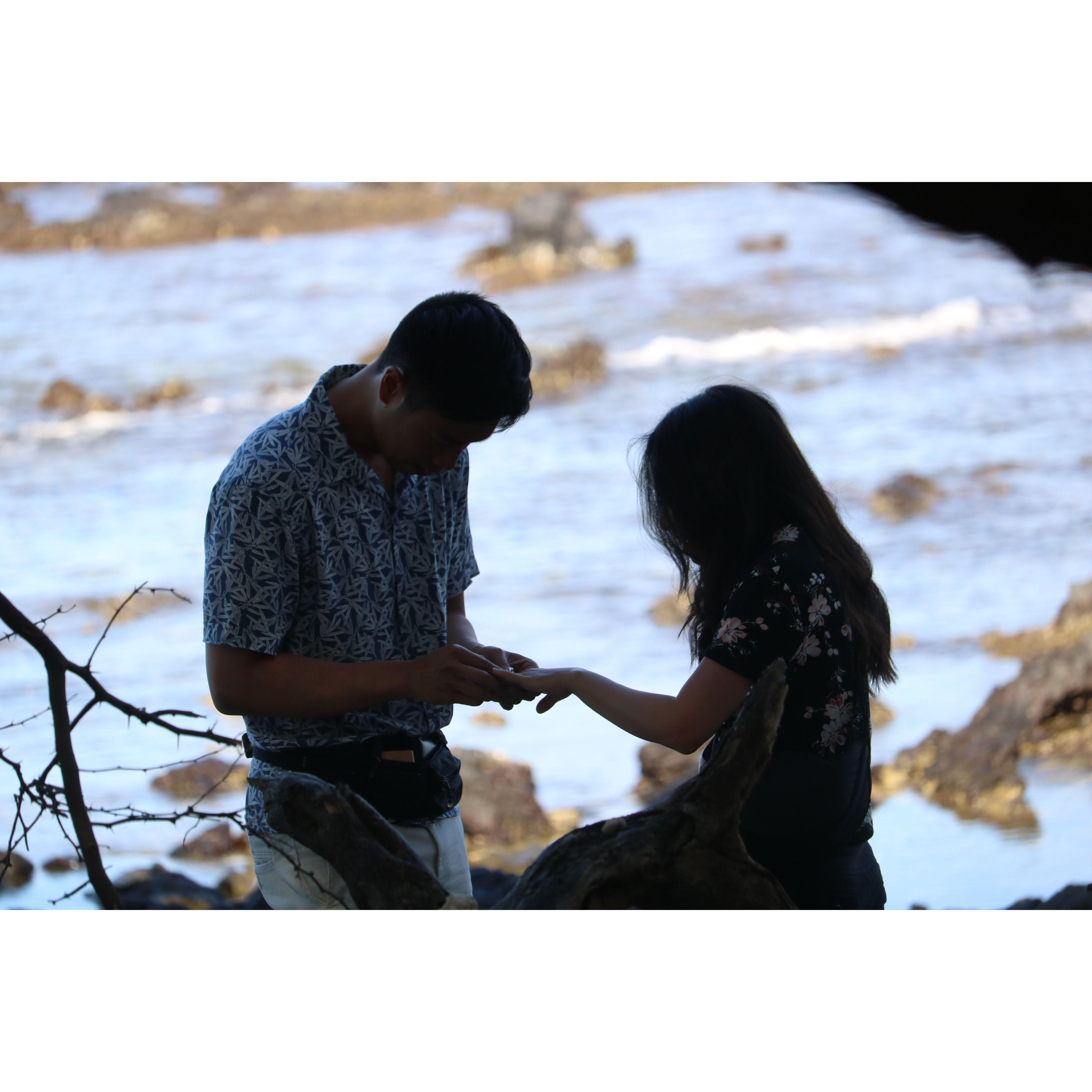 When Kevin proposed to the love of his life!