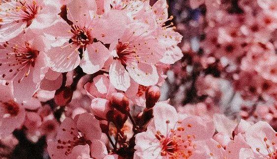 67f04335-b1b9-41cb-8304-85402e99db25