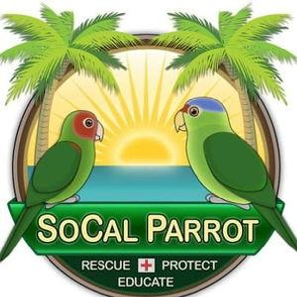 SoCal Parrot Rescue