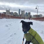 Stone Arch Bridge