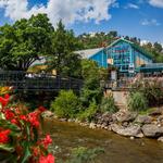 Ripley's Aquarium of the Smokies