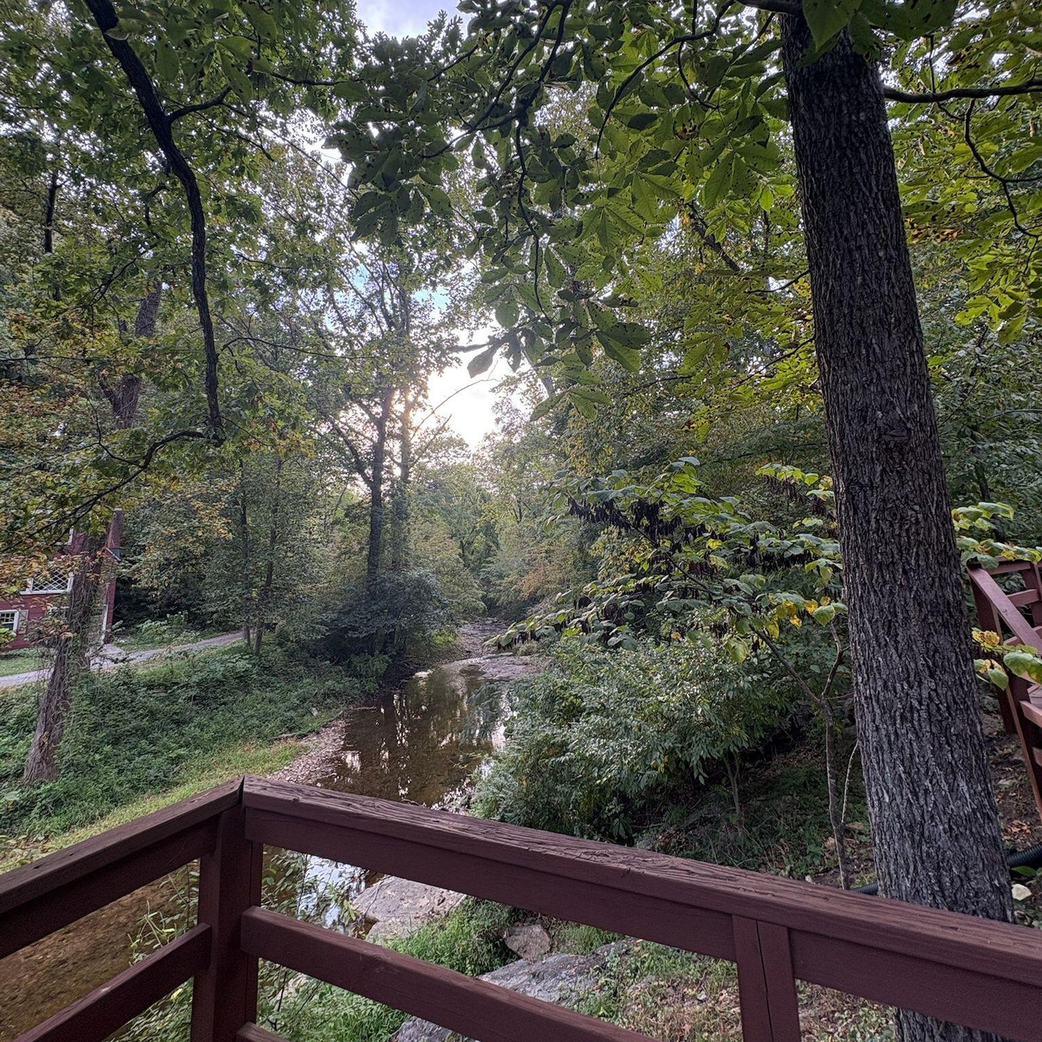 The view from the cabin Boyce proposed at in Virginia!