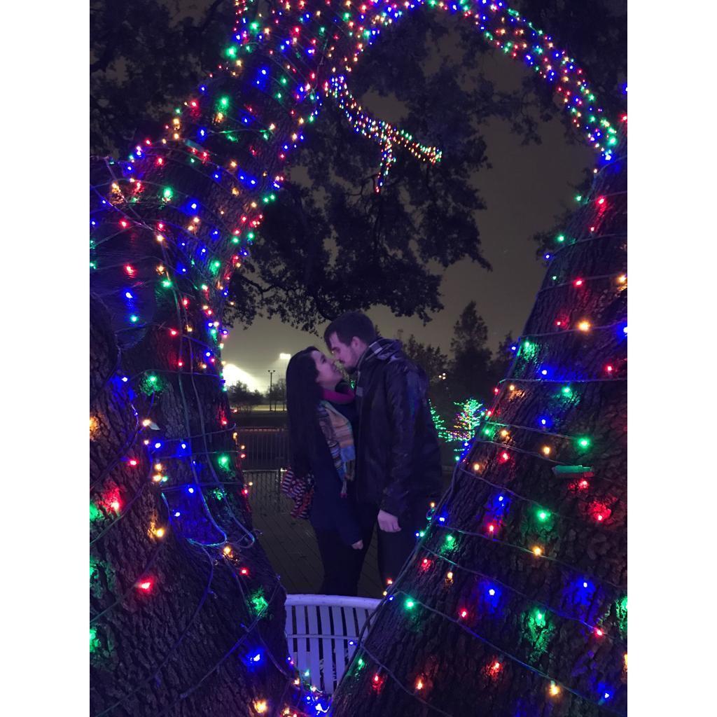 Love in the lights