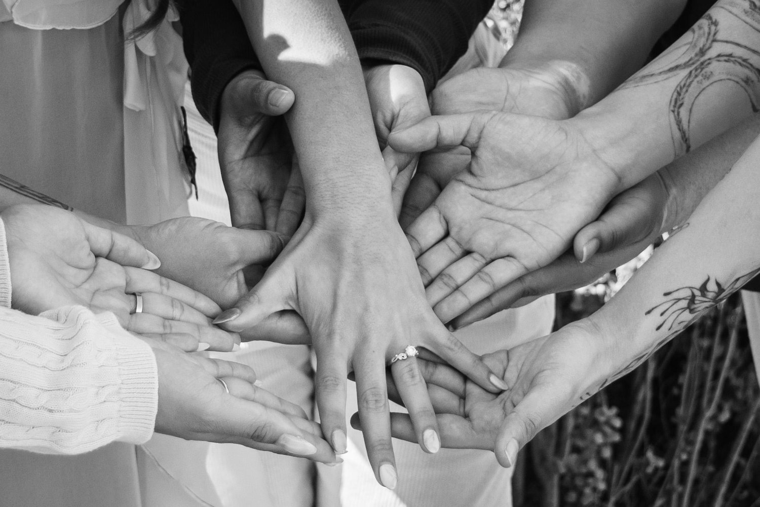 The Wedding Website of Aspen ‎ and Sarena ‎