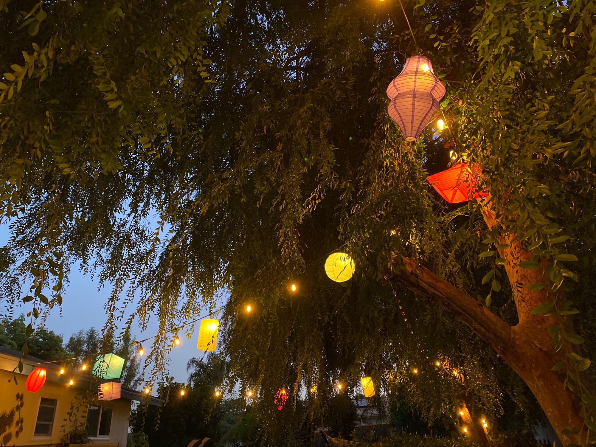 Enjoying our new dreamy Alice and Wonderland market lights at night- are we in Disneyland?