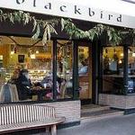 Blackbird Bakery