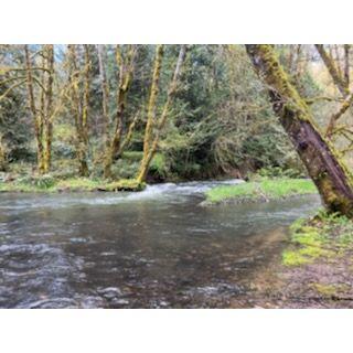 Dairy Creek spring run off